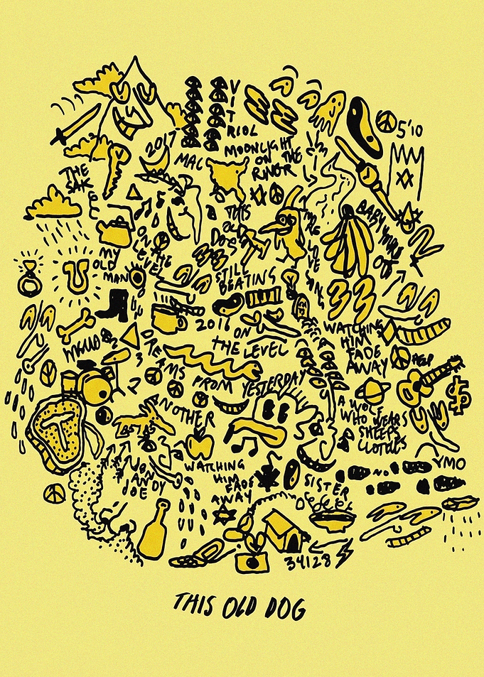 Mac DeMarco This Old Dog Artwork