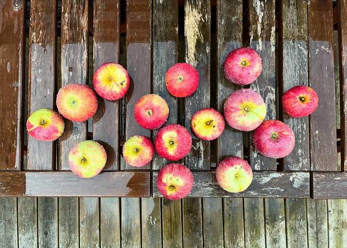 Red apples with water drops on it placed in a wooden table