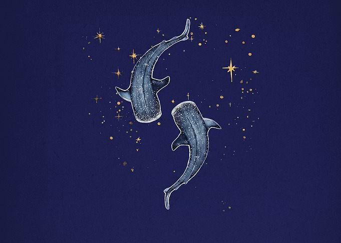 Two Whale Sharks in Starry Sky