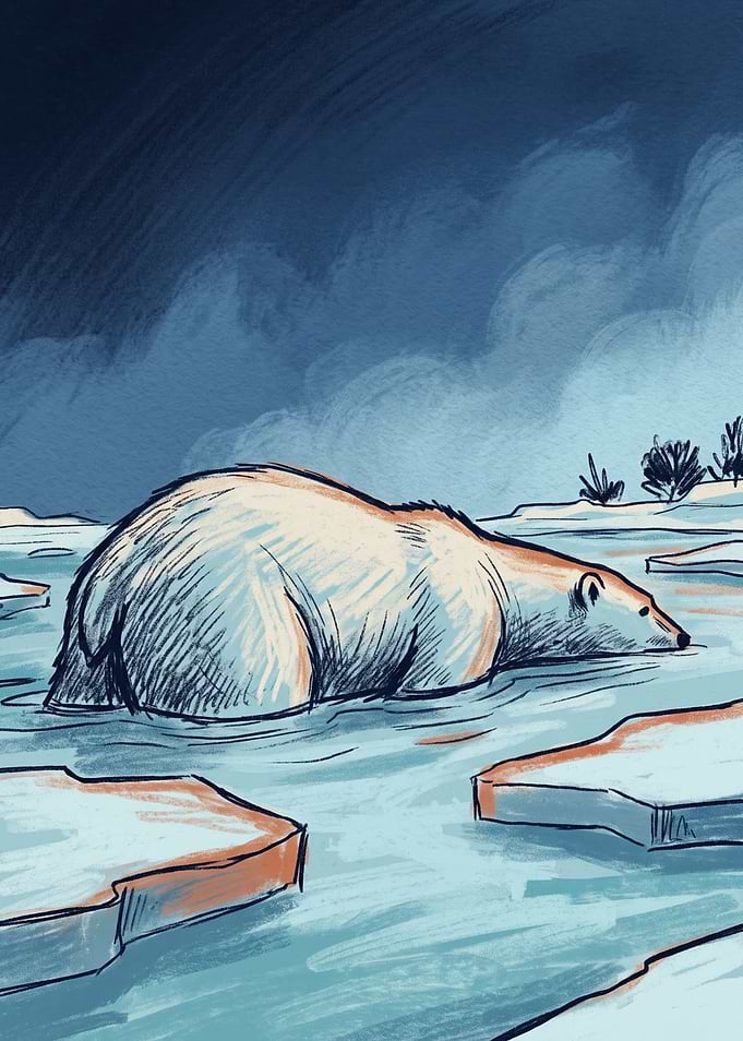 Polar Bear Swimming in Arctic Waters
