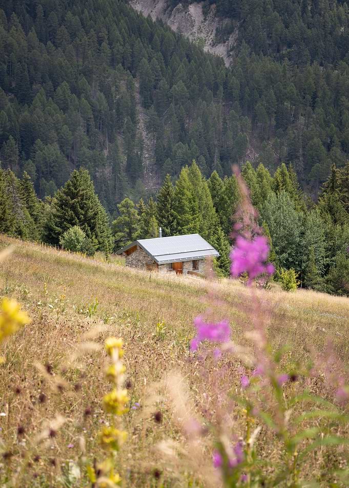 Stone Cabin in Alpine Meadow