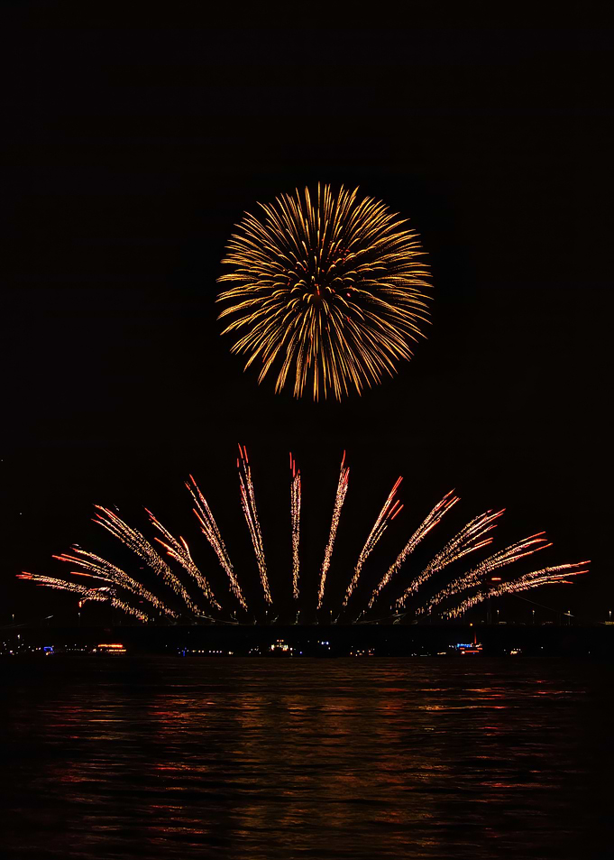 Golden Fireworks Over Dark Water