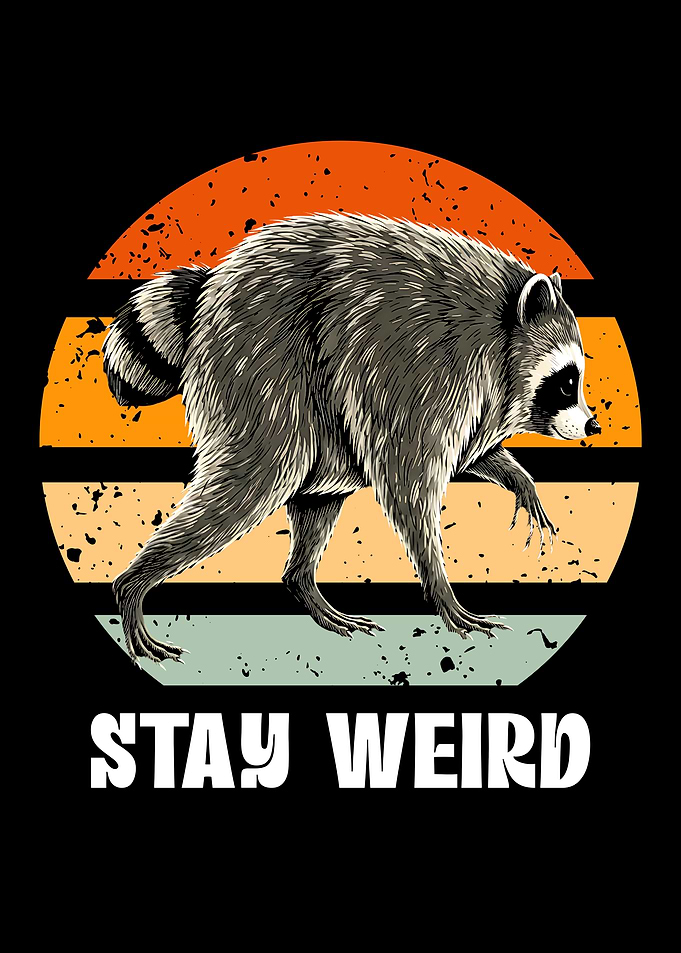 Stay Weird Jimothy Raccoon Retro Graphic