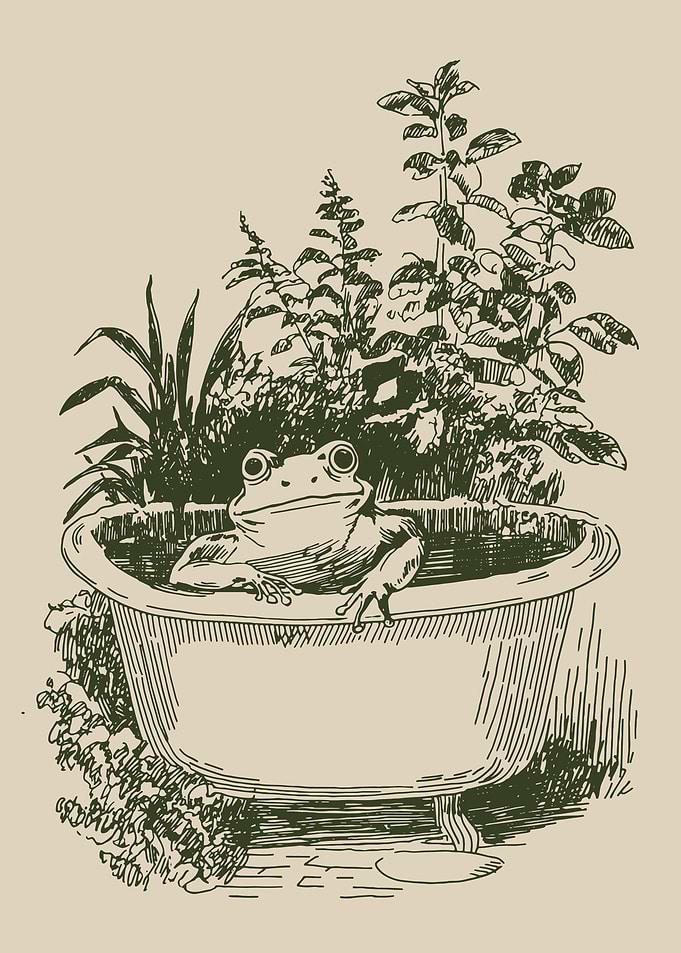 Vintage Frog Bath Botanical Wall Art | Rustic Cottagecore Line Art Poster