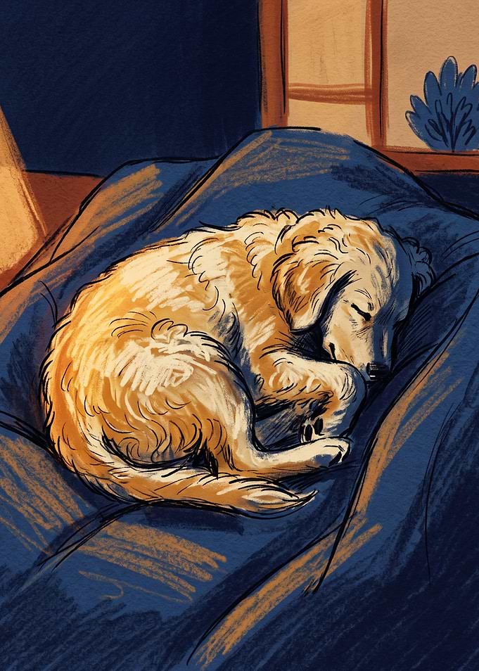 Sleeping Golden Retriever Puppy Illustration