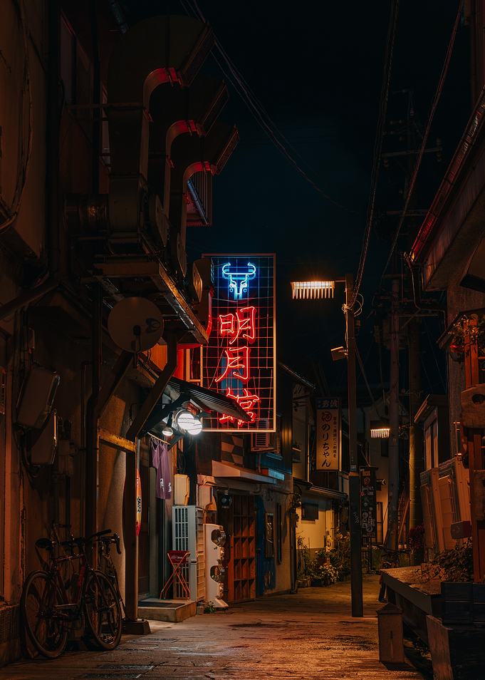 Neon Lit Alley in Japan