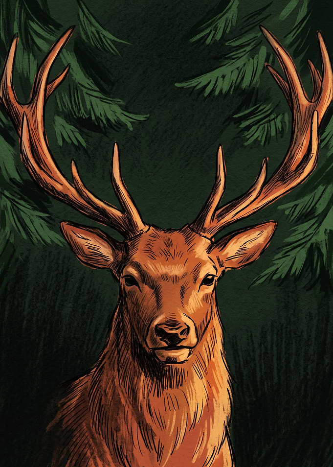 Majestic Stag in Dark Forest