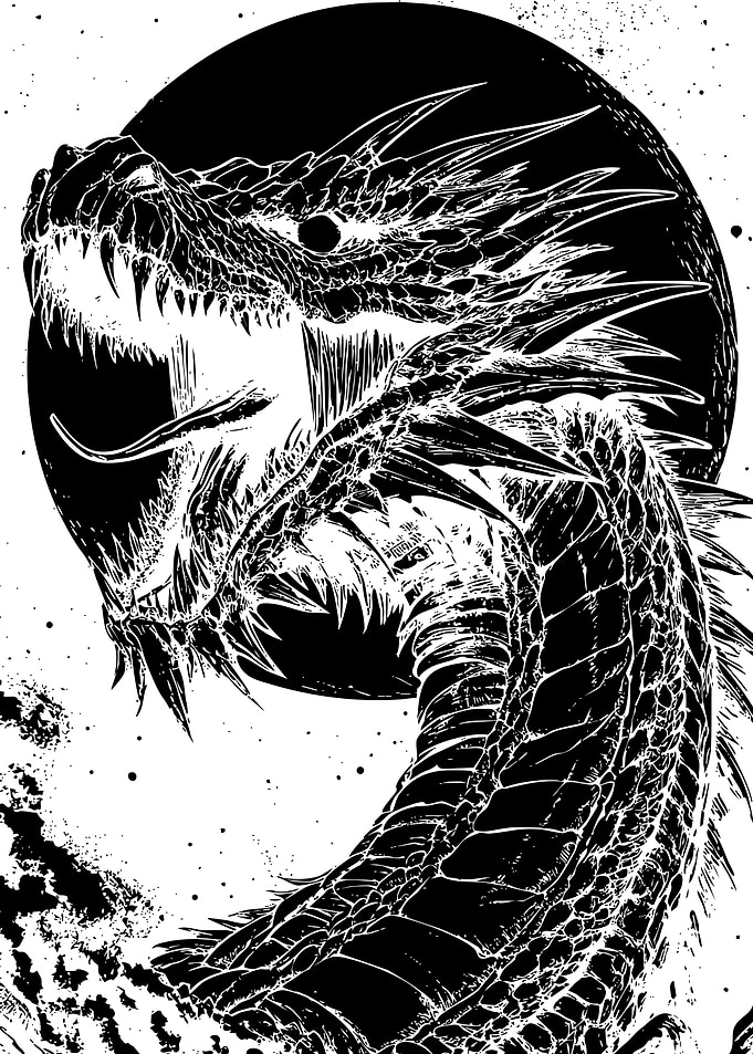 Black and White Dragon Illustration