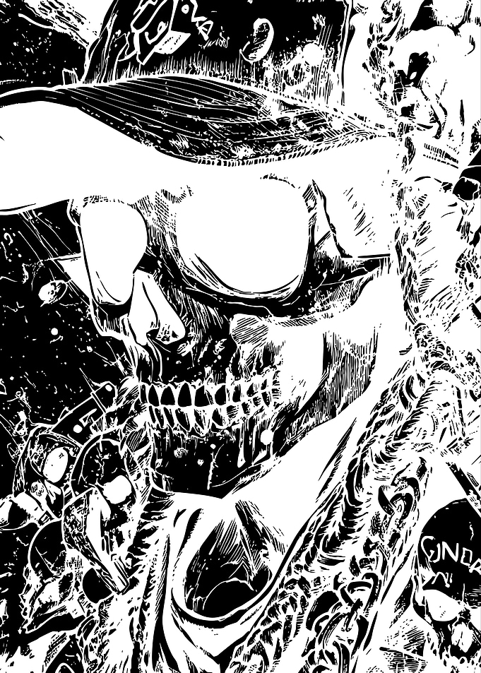 Black and White Skull Illustration