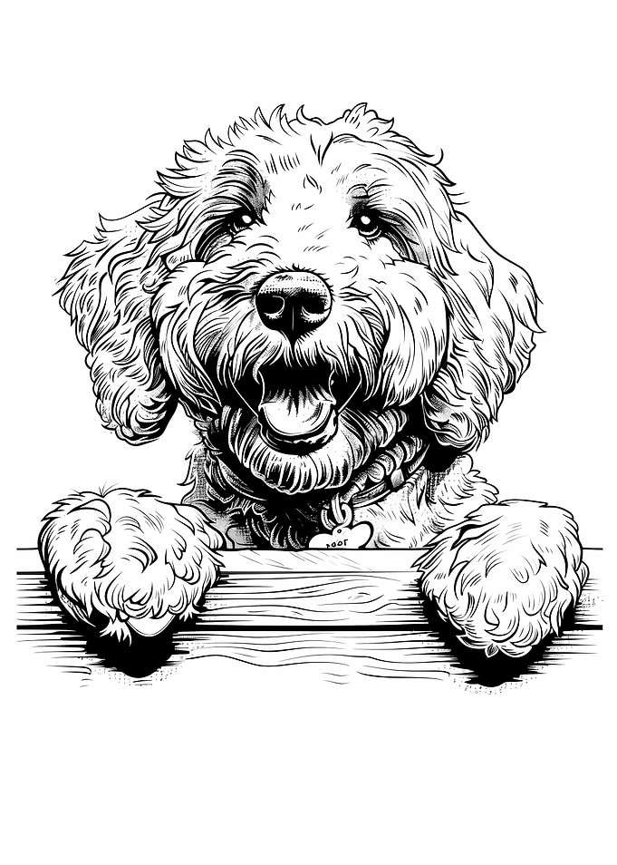 Happy Golden Doodle Dog Sketch