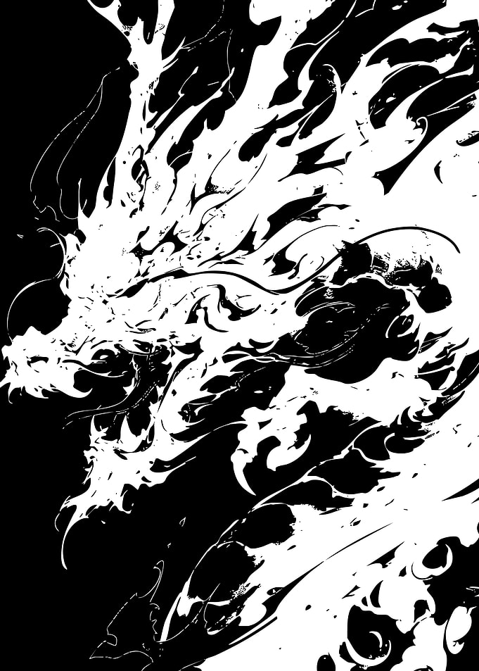 Abstract Black and White Dragon