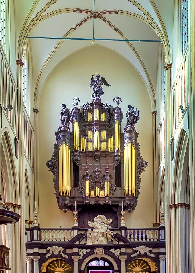Organ
