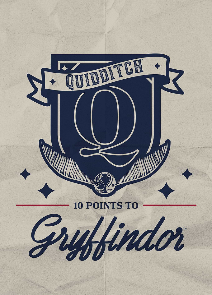 Gryffindor Quidditch Triumph