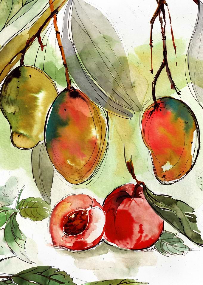 Watercolor Mango and Peach Illustration