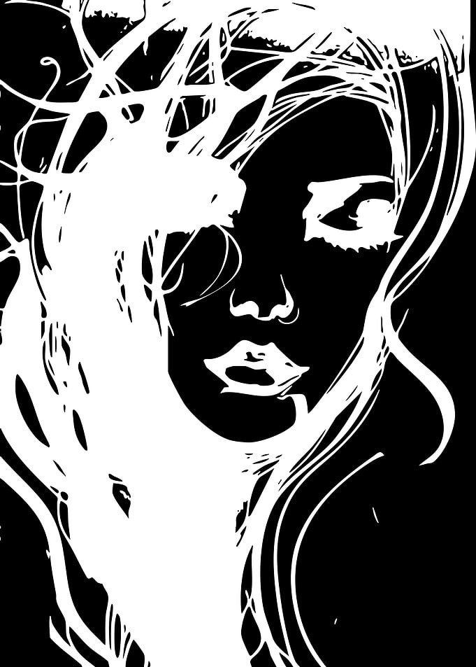 High Contrast Abstract Female Portrait