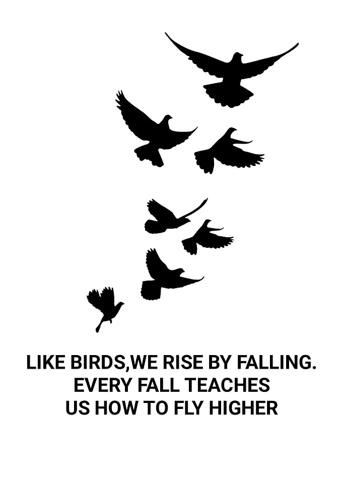 Inspirational Birds Quote Wall Decal