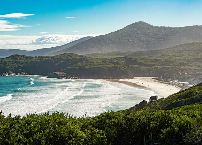 Misty Mountainous Beach