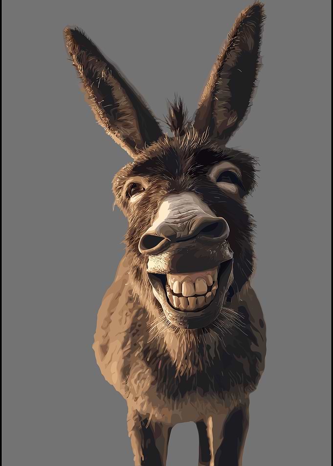 Smiling Donkey Portrait