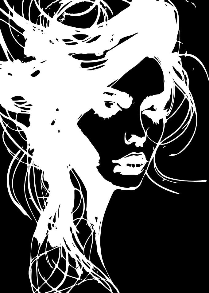 High Contrast Abstract Portrait