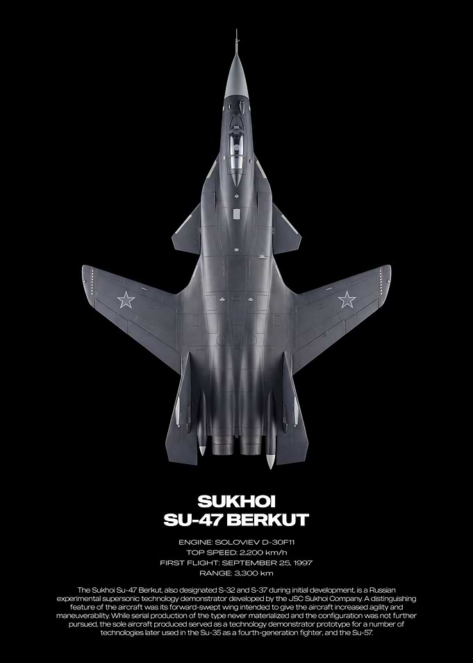 Sukhoi Su-47 Berkut Technical Poster