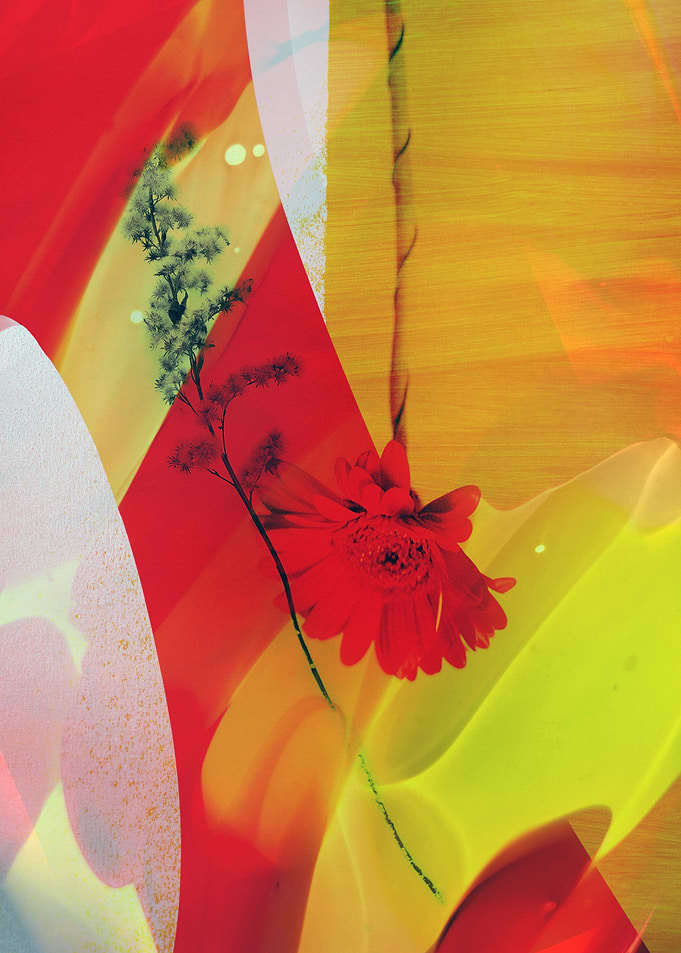 Abstract Red Flower Artistic Composition