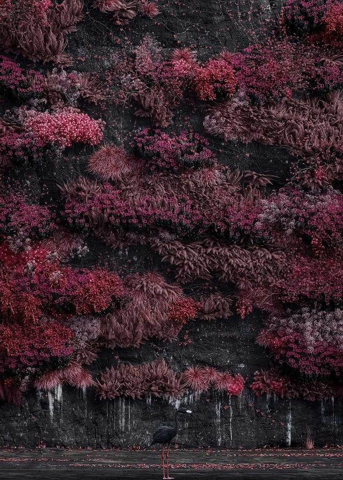Black Flamingo Against Floral Wall