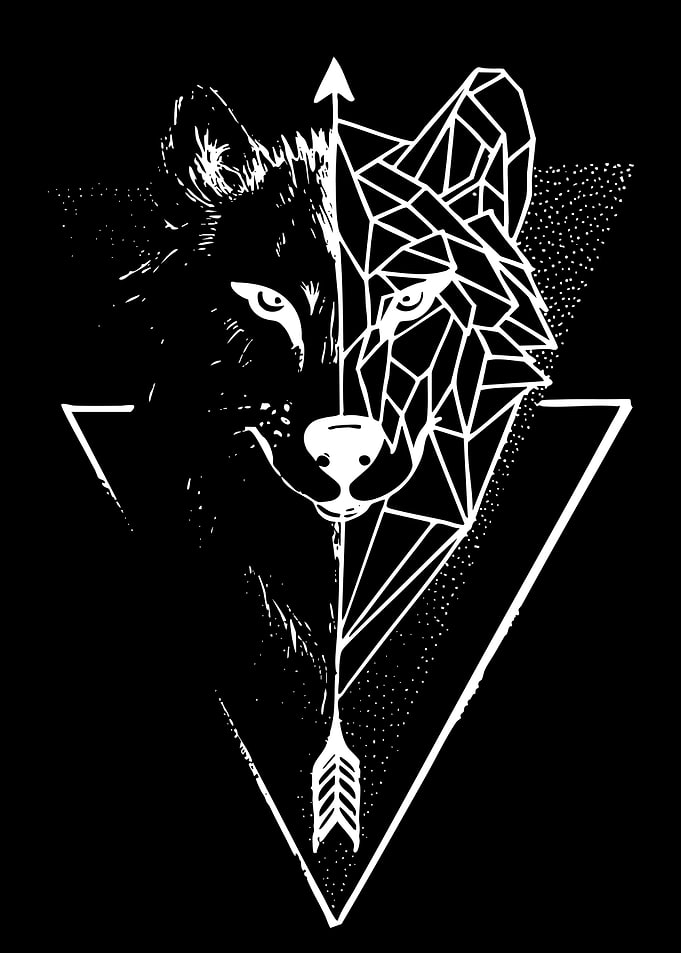 Split Face Geometric Wolf Illustration