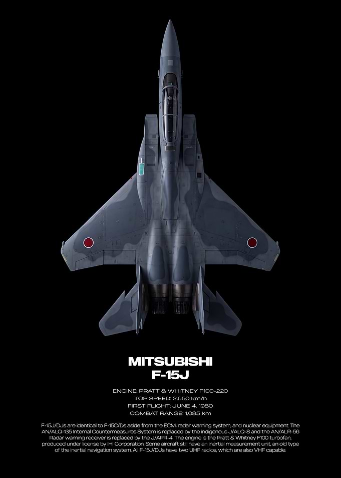 Mitsubishi F-15J Eagle Technical Poster