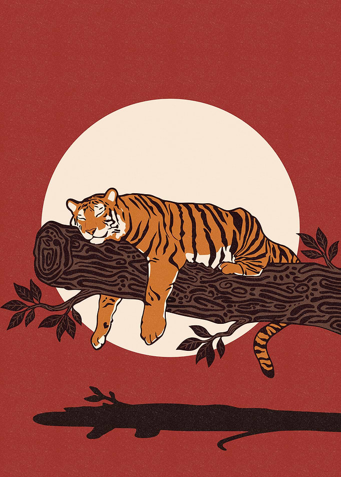 Sleeping Tiger on Tree Branch