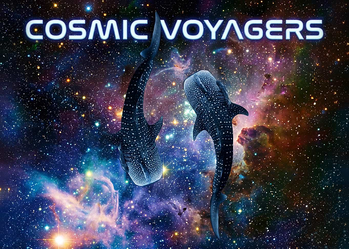 Cosmic Voyagers Whale Sharks