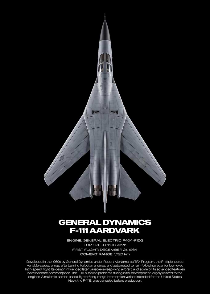 General Dynamics F-111 Aardvark Poster