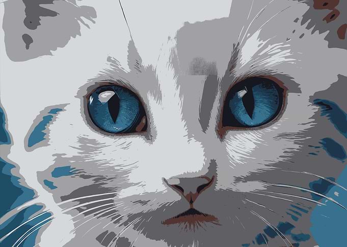 Stylized Close-up of a Cat