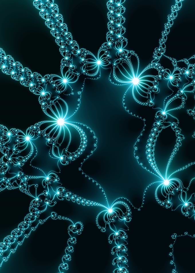 Glacier Shear - Newton Fractal