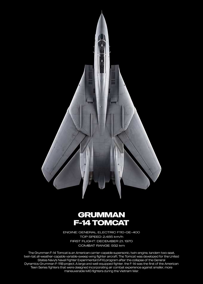 Grumman F-14 Tomcat Technical Poster