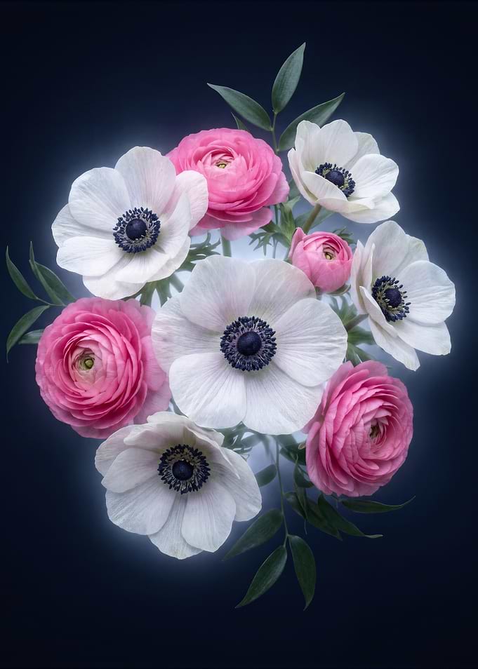 Elegant Pink and White Flowers
