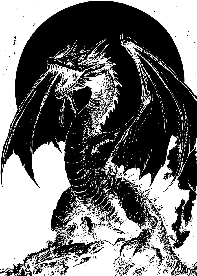Black and White Dragon Illustration