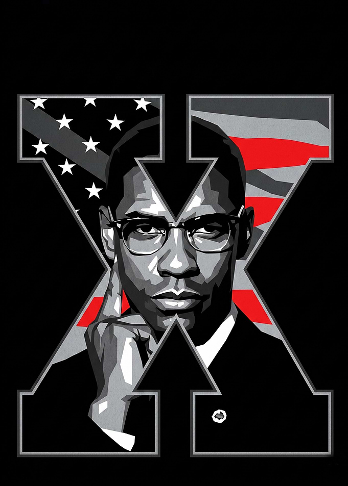Malcolm X Pop Art Portrait