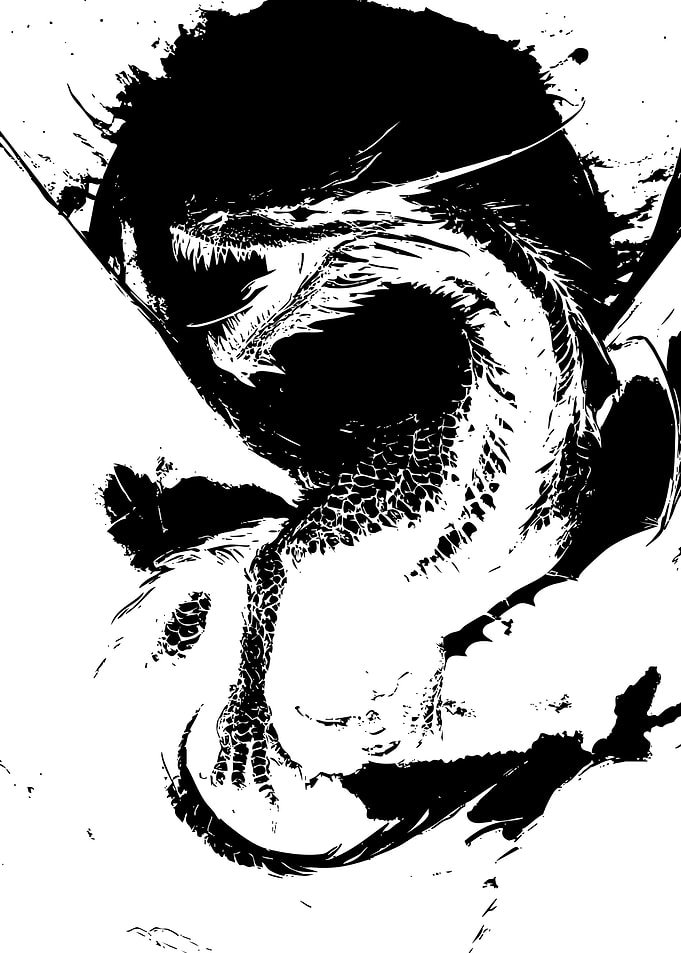 Black and White Ink Dragon Illustration