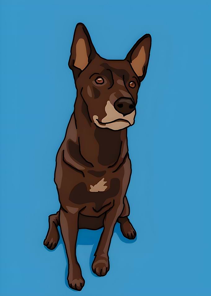 Digital Illustration of a Brown Australian Kelpie Dog