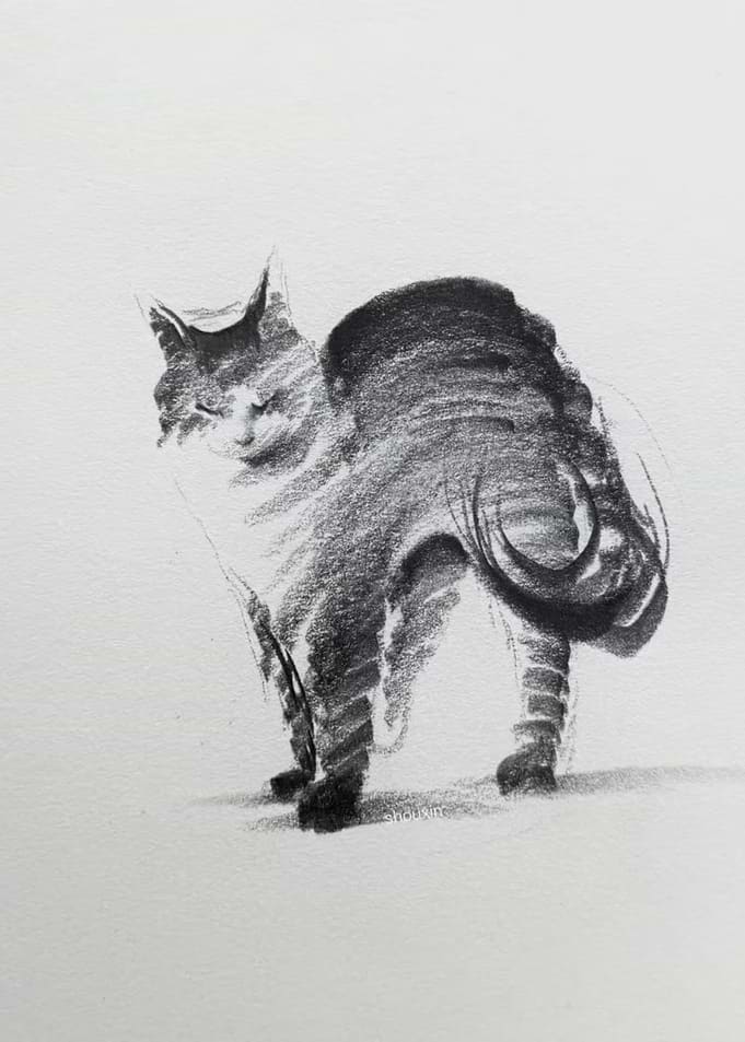 Charcoal Sketch of a Standing Cat