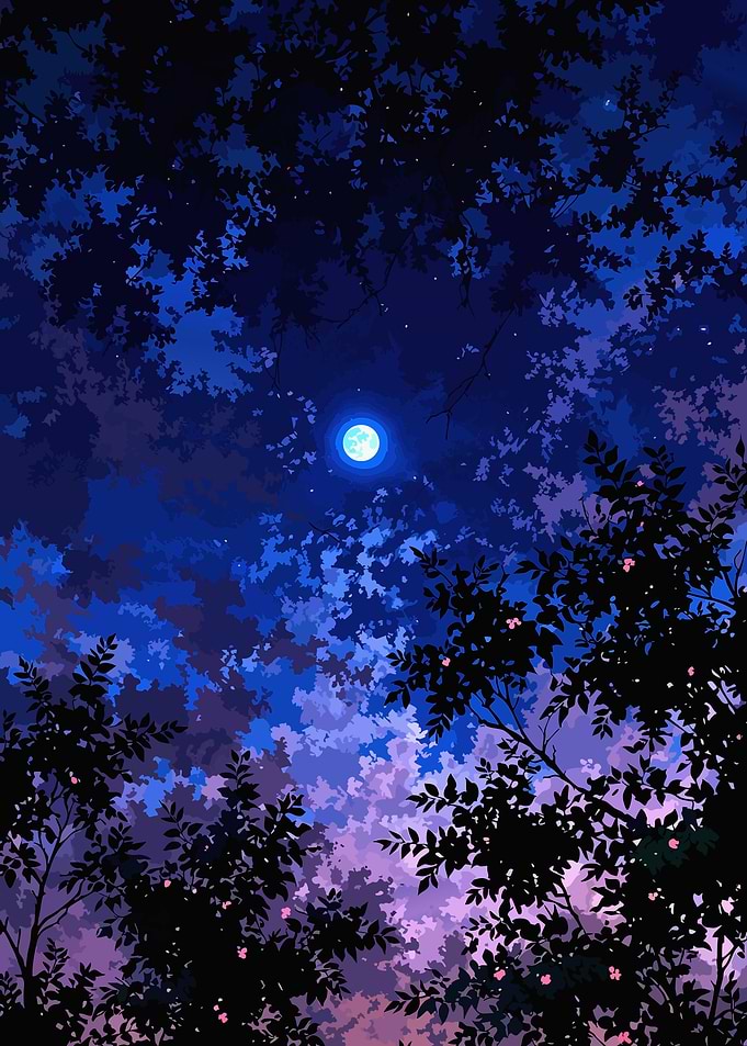 Full Moon Through Silhouetted Tree Canopy
