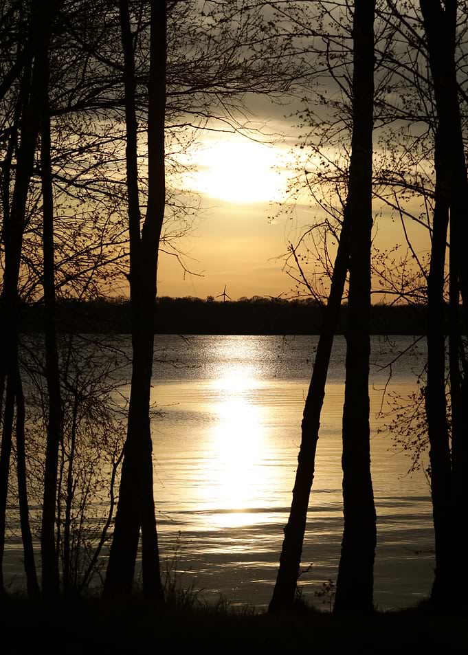 Sunset Over Lake Through Silhouetted Trees