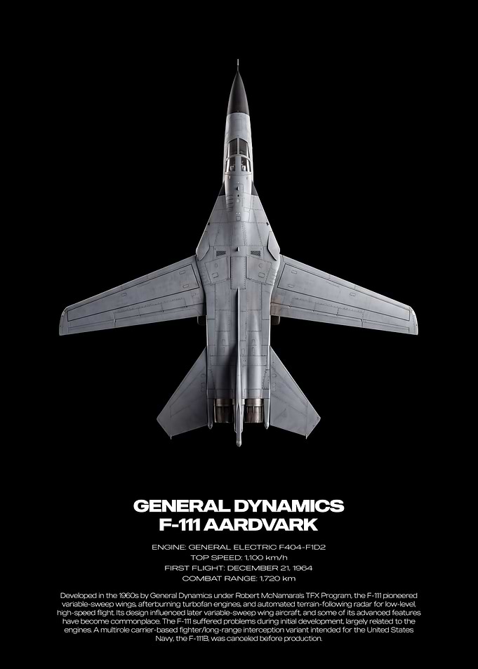 General Dynamics F-111 Aardvark Poster