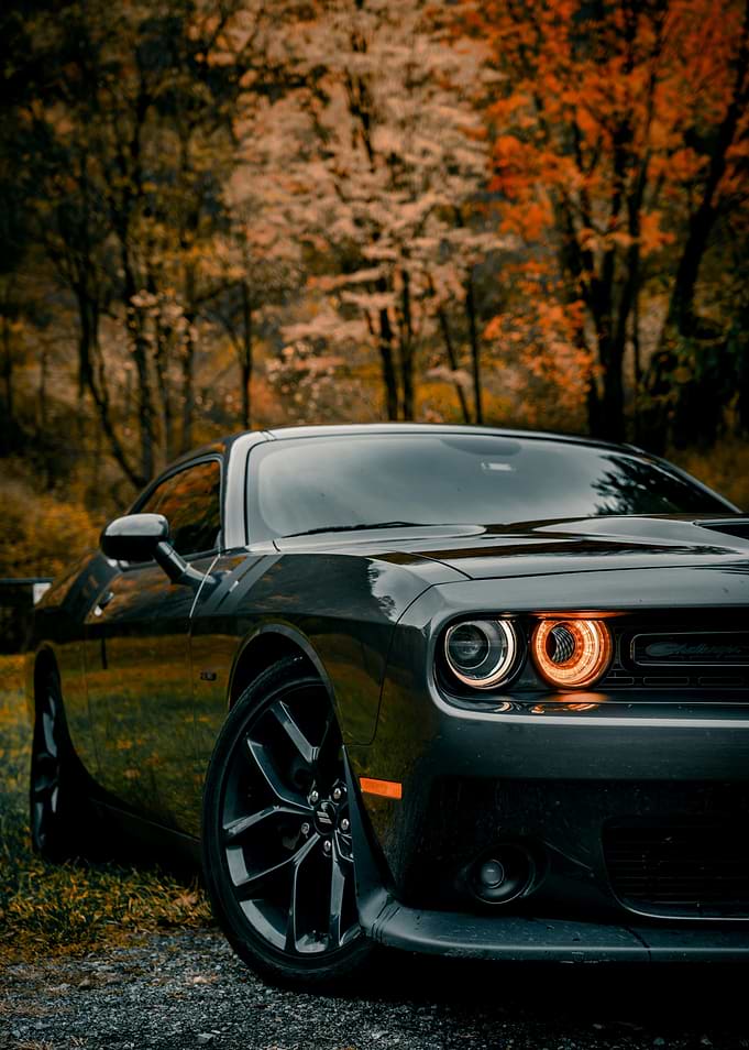 Dodge Challenger in Autumn Forest