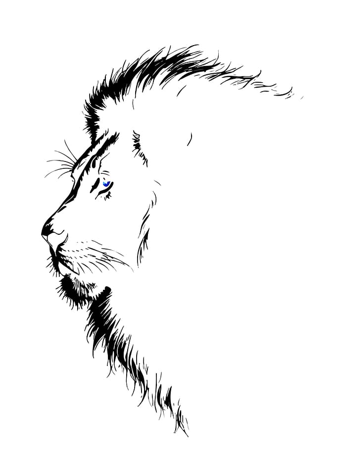 Minimalist Lion Profile Sketch