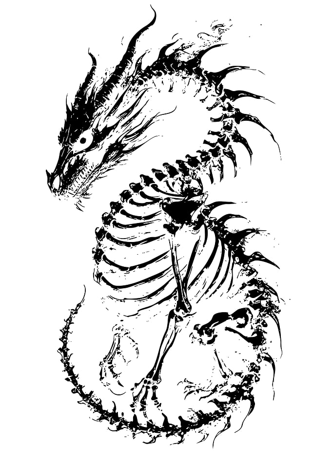 Skeletal Dragon Ink Illustration