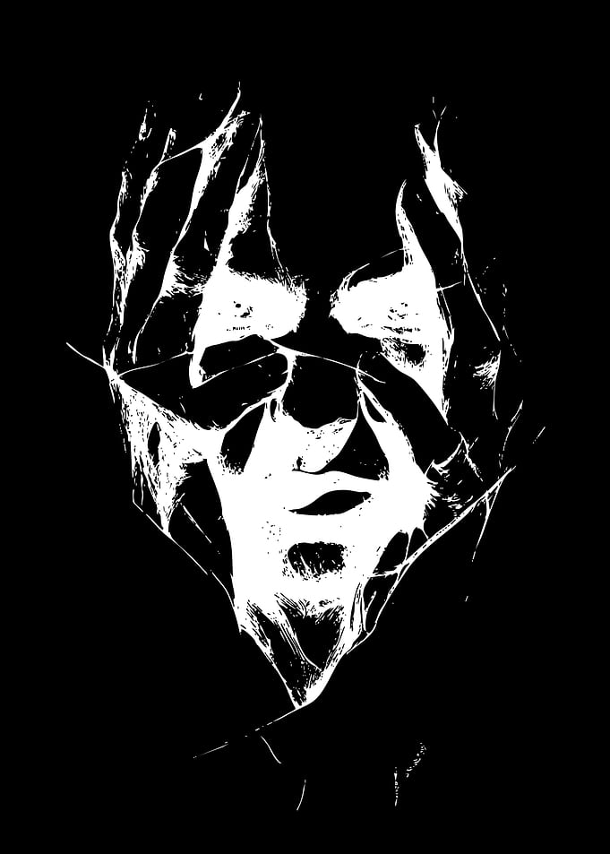 Abstract High Contrast Face Silhouette