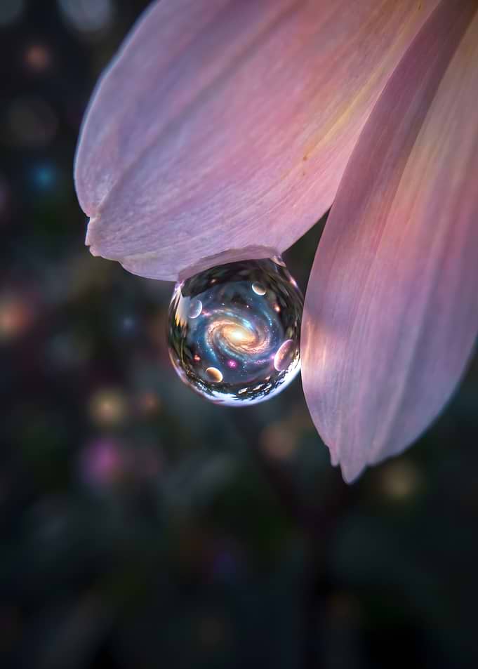 Galaxy Reflected in a Dewdrop