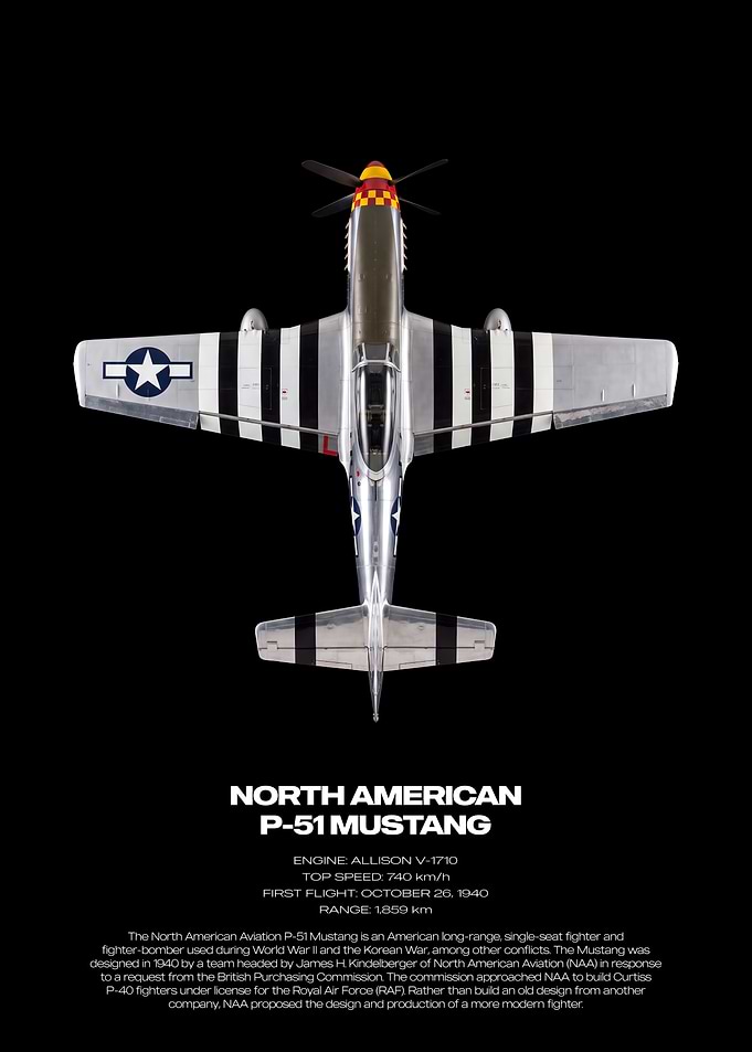 North American P-51 Mustang Poster