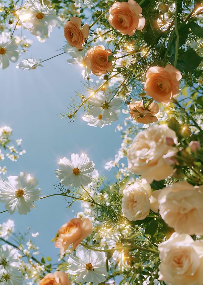 Sunlit Garden Flowers Against Blue Sky